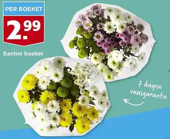 Hoogvliet Santini boeket aanbieding