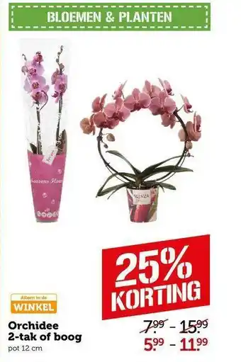 CoopCompact Orchidee 2-tak of boog 25% Korting aanbieding