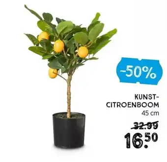 Xenos Kunst-Citroenboom 45 cm aanbieding