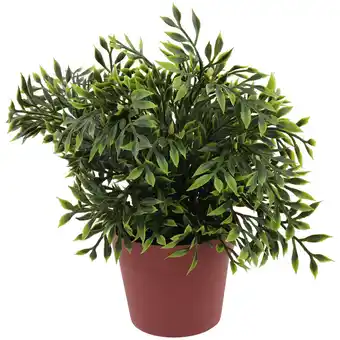 Action Kruidenplant in pot aanbieding