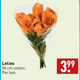 ALDI Lelies aanbieding