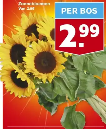 Hoogvliet Zonnebloemen aanbieding