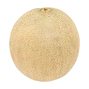 Jumbo Jumbo cantaloupe meloen 1 stuk aanbieding