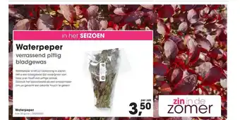 HANOS Waterpeper aanbieding