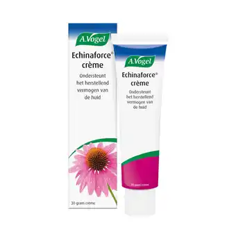 Jumbo Crème echinaforce 30g aanbieding