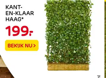 Praxis Kant- en-klaar haag aanbieding