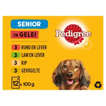 Jumbo Pedigree senior maaltijdzakjes - vlees in gelei - hondenvoer - 12 x 100g aanbieding