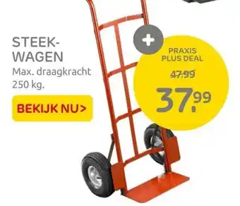 Praxis Steek-Wagen 250kg aanbieding