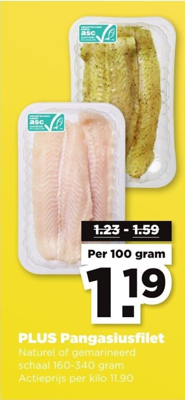 Pangasiusfilet 100 gram aanbieding bij PLUS