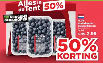 PLUS Nederlandse Blauwe bessen 500 gram aanbieding