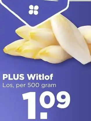 PLUS PLUS Witlof 500g aanbieding