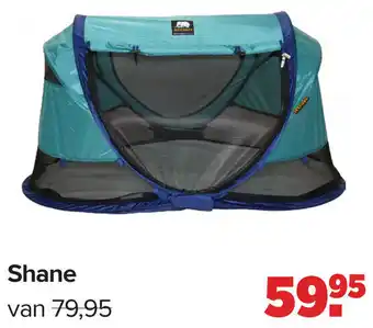 Baby-Dump Shane aanbieding