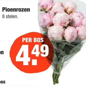 ALDI Pioenrozen aanbieding