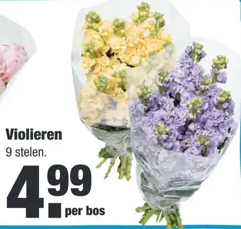 ALDI Violieren aanbieding