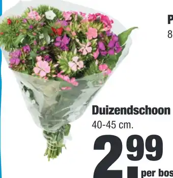 ALDI Duizendschoon aanbieding