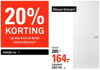 Karwei Lijndeur ABD109 aanbieding