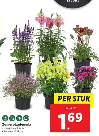 Lidl Zomerplantenmix aanbieding