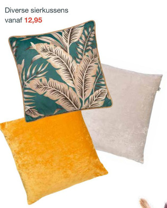INHOUSE Diverse sierkussens aanbieding