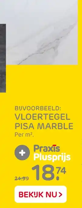 Praxis Vloertegel Pisa Marble aanbieding