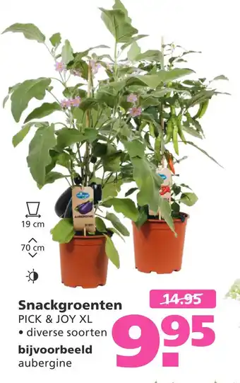 Ranzijn Snackgroenten aanbieding