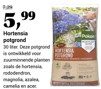 Tuincentrum Osdorp Hortensia potgrond aanbieding