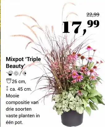 TuinWereld Mixpot 'triple beauty' aanbieding