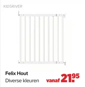 Baby-Dump Felix hout aanbieding