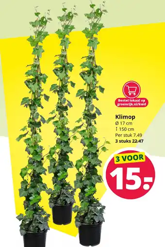 GroenRijk Klimop aanbieding