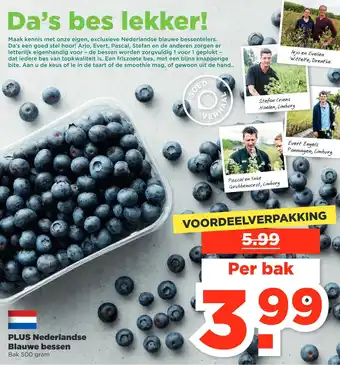 PLUS Plus nederlandse blauwe bessen aanbieding