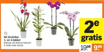 Albert Heijn AH Orchidee 1- en 2-takker aanbieding