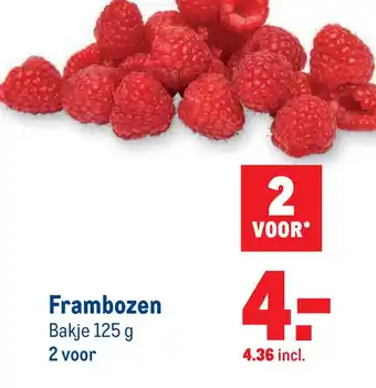 Makro Frambozen aanbieding