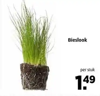 Boni Bieslook aanbieding