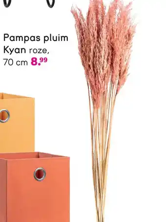 Leen Bakker Pampas pluim kyan aanbieding