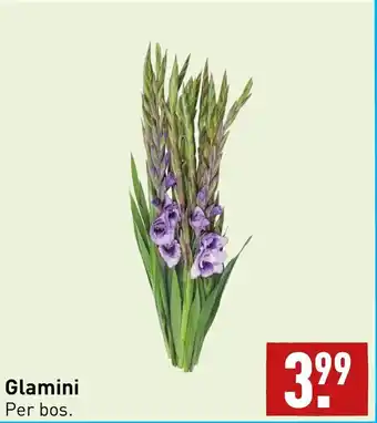 ALDI Glamini per bos. aanbieding