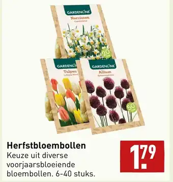 ALDI Heefstbloembollen 6-40 stuks. aanbieding