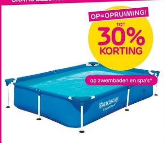 Praxis Zwembaden en spa's aanbieding