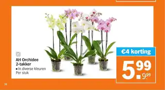 Albert Heijn Orchidee 2-takker aanbieding