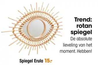 Kwantum Spiegel Erula aanbieding