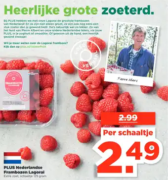 PLUS PLUS Nederlandse Frambozen Lagorai aanbieding