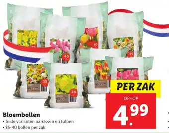 Lidl Bloembollen 35-40 bollen per zak aanbieding