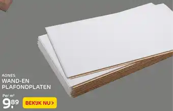 Praxis Agnes wand-en plafondplaten aanbieding