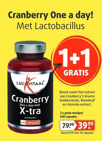 Lucovitaal Cranberry One A Day! Met Lactobacillus 1+1 Gratis aanbieding