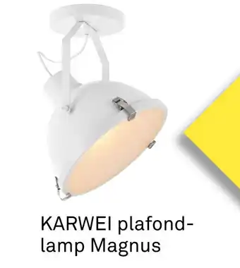 Karwei Karwei Plafond Lamp Magnus aanbieding