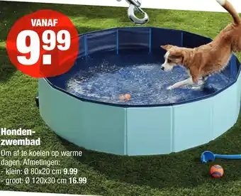 ALDI Honden- zwembad aanbieding