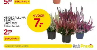 Praxis Heide Calluna Beauty Lady Mix 11 cm aanbieding