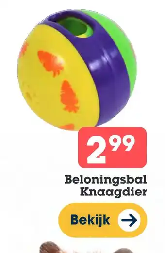 Discus Beloningsbal Knaagdier aanbieding