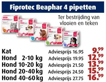 Huisdier Voordeelshop Fiprotec Beaphar 4 pipetten aanbieding