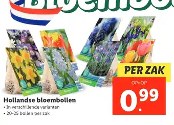 Lidl Hollandse bloembollen aanbieding