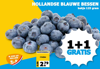 Boon`s Markt Hollandse blauwe bessen aanbieding