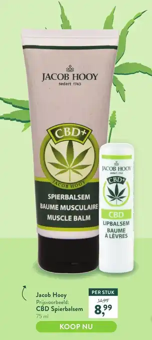 Holland & Barrett Jacob hooy cbd spierbalsem 75ml aanbieding